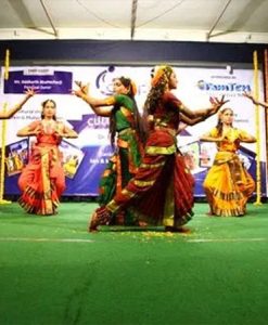 Cultural Event, India 2014