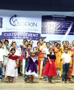 Cultural Event, India 2013